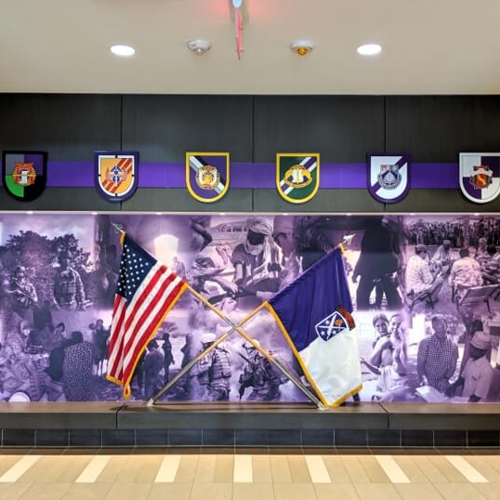 Wall Vinyl